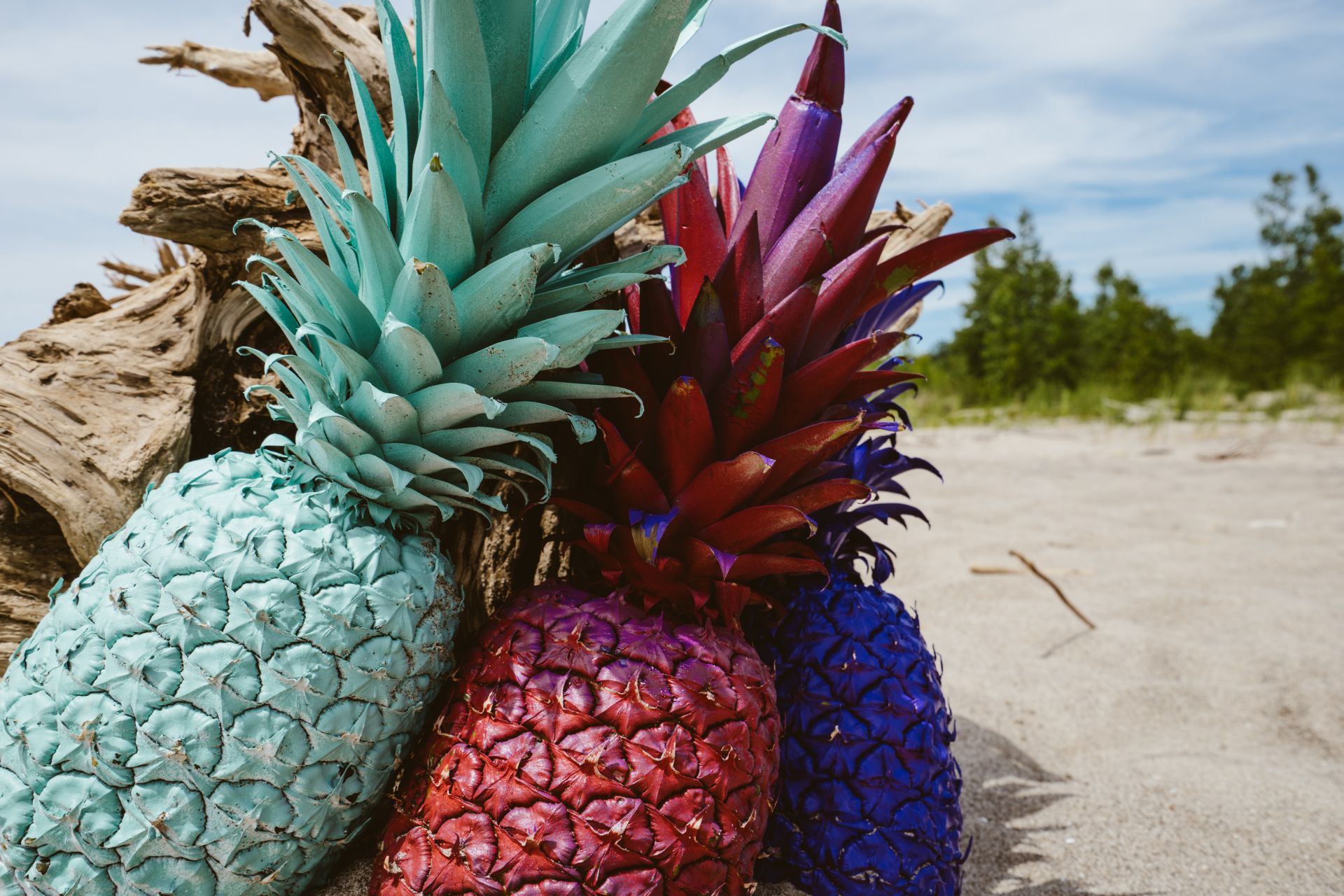 FORMATIG.DESIGN_colourful-pineapple